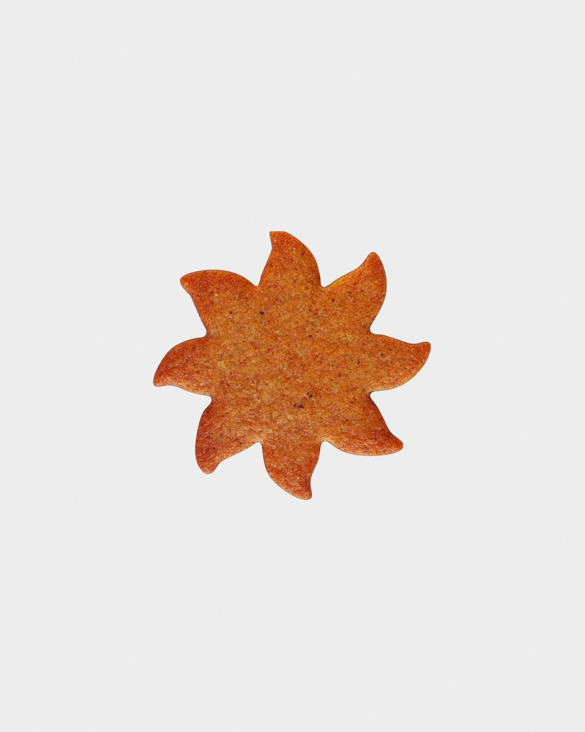 Cookie Cutter - Sun